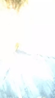 视频 11368