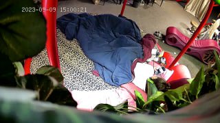 2023-9-9 酒店TP周末约情人，情趣房大圆床，扒下内裤疯狂舔，跳蛋震穴骚的很，抬腿一顿操，淫语骚话不断