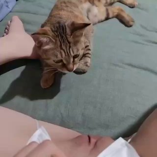 猫扑更多视频请在电报（telegram）收藏夹输入@meimodapipi2_3